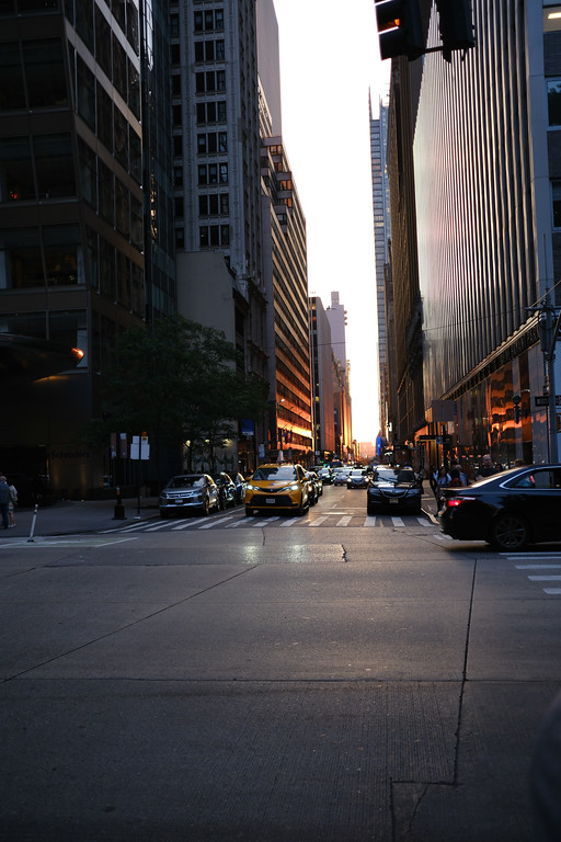 Evening sunlight shining down a New York avenue